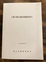 大廻小廻山城跡発掘調査報告