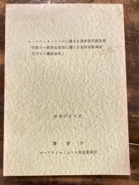 セーフティ・ミニマムに関する調査研究報告書　「警察力・警察活動等に関する全国実態調査及びその機能分析」