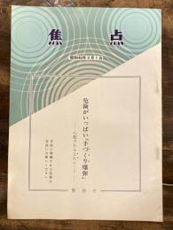 危険がいっぱい「手づくり爆弾」　心配されるなれムード　　焦点