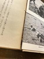 陸軍落下傘部隊
