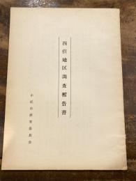 西俣地区調査報告書　