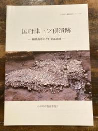 国府津三ツ俣遺跡 : 相模湾をのぞむ集落遺跡