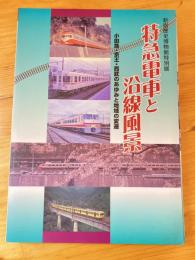 特急電車と沿線風景 : 小田急・京王・西武のあゆみと地域の変遷 : 新宿歴史博物館特別展図録