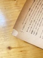 麻雀入門第一歩