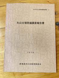 丸山古墳発掘調査報告書