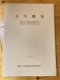 小川城址 : 国道291号道路改良事業区間内埋蔵文化財調査報告書