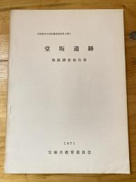 堂坂遺跡 : 発掘調査報告書