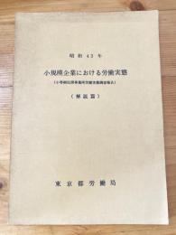 小規模企業における労働実態小零細民間事業所労働実態調査報告 : 解説編