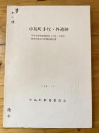 中島町小牧・外遺跡 : 団体営圃場整備事業(小牧・外地区)関係埋蔵文化財調査報告書