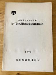 淀江条里遺構地域緊急調査報告書