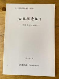 大鳥羽遺跡1 付載 周辺の遺跡