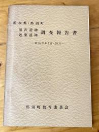 脇沢遺跡・迯室遺跡調査報告書