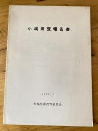 小祠調査報告書