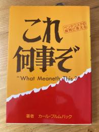 これ何事ぞ : ペンテコストに対する質問に答える