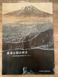 躍進山梨の明日　県勢振興基本計画のあらまし