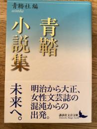 青鞜小説集