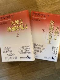 天使よ故郷を見よ　講談社文芸文庫　