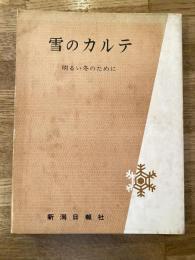 雪のカルテ : 明るい冬のために