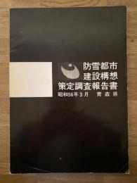 防雪都市建設構想策定調査報告書