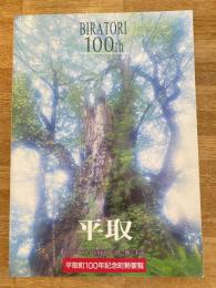 1999年 北海道平取町 町勢要覧　平取町100年記念町勢要覧