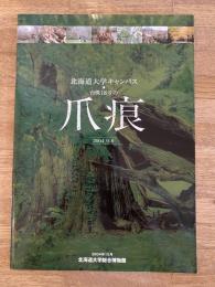 北海道大学キャンパス・台風18号の爪痕 : 2004.9.8