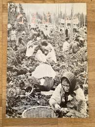 国鉄苗穂工場　なえぼ　1966年8月　166号