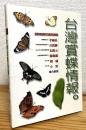 【中文】 台灣賞蝶情報。
