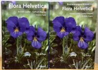 【独文】 Flora Helvetica (5.Auflage) / Bestimmungsschlussel zur Flora Helvetica (5.Auflage)