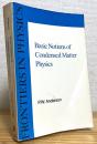 Basic Notions of Condensed Matter Physics