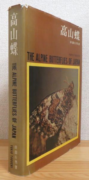 高山蝶 : 生態写真(田淵行男 著) / 古本、中古本、古書籍の通販は