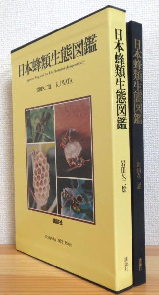 日本蜂類生態図鑑 生活行動で分類した有剣蜂 岩田久二雄 ほか著 藤原書店 古本 中古本 古書籍の通販は 日本の古本屋 日本の古本屋 日本蜂類生態図鑑 生活行動で分類した有剣蜂 岩田久二雄 ほか著 藤原書店 古本 中古本 古書籍の通販は 日本の古本屋 日本の古本屋