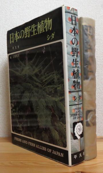 日本の野生植物 シダ