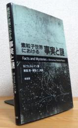 素粒子世界における事実と謎