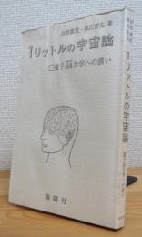 1リットルの宇宙論 : 量子脳力学への誘い