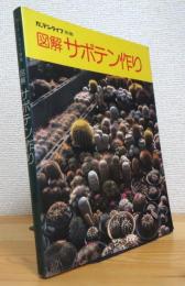 図解サボテン作り