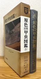 原色日本甲虫図鑑【4】