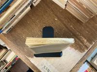 反抗の原初形態 : 千年王国主義と社会運動