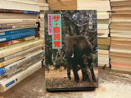 ザ・自民党 : 長期政権の秘密