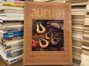 Aurum オーラムジャパン　No.22 1985Summer