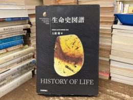 生命史図譜