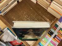 虐殺された神 : 秘譚島原の乱