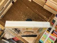 漫画家が見た手塚治虫