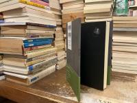バルザック愛の葛藤・夢魔小説選集