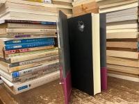 バルザック愛の葛藤・夢魔小説選集