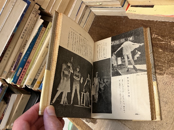下着ぶんか論 : 解放された下着とその下着観 | 鴨居羊子 著 | 凡凡社