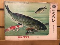 科学クラブ第1号、第2号、第4号、第5号、第6号、第7号（6冊セット）