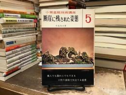 小菊盆栽技術講座