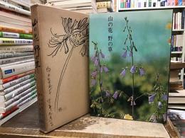山の花野の花