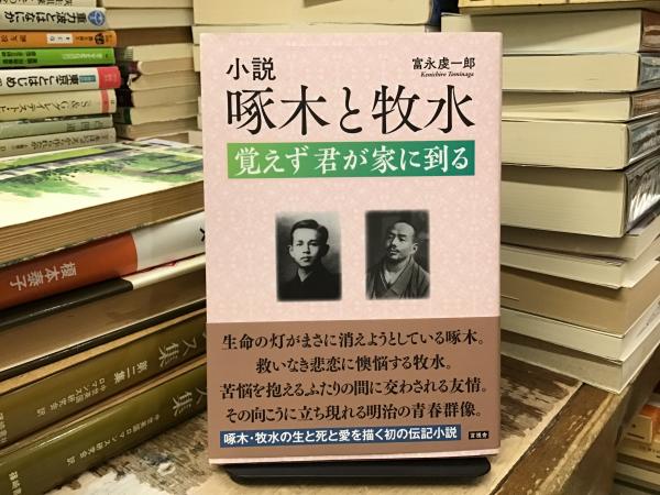 治療のテルモピュライ : 中井久夫の仕事を考え直す(星野弘 ほか