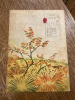 カキクケコグマ